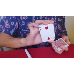 TRAVELER'S SIGNATURE by Anthony Vasquez -download