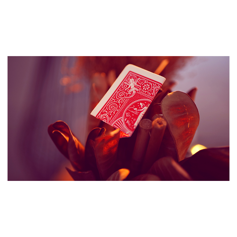 My Power Deck by Jordan Victoria