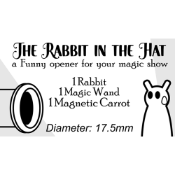 The Rabbit In the Hat by Creativity Lab