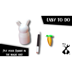 The Rabbit In the Hat by Creativity Lab