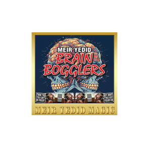 Brain Bogglers by Meir Yedid
