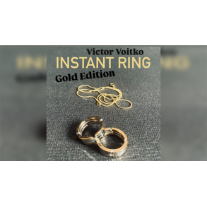 Instant Ring (silver/gold, Size 10) by Viktor Voitko