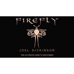 Firefly by Joel Dickinson