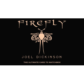 Firefly by Joel Dickinson