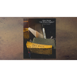 The Peek- In Plain Sight by Casper Ryan