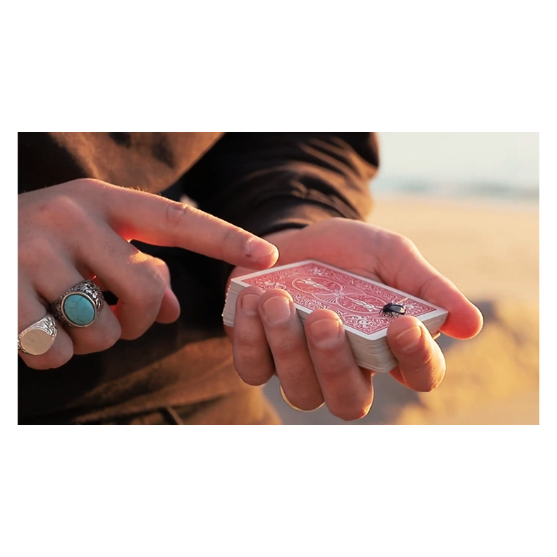 The FLY LITE by Marcos Waldemar &amp; Invisible Compass