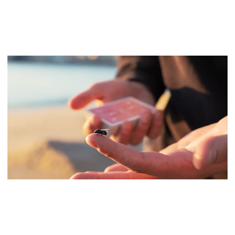 The FLY LITE by Marcos Waldemar &amp; Invisible Compass