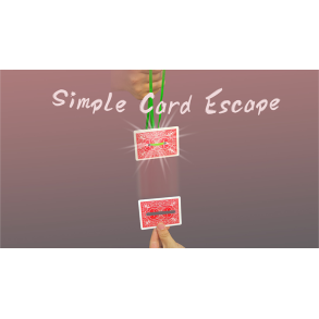 Simple Card Escape by Dingding video DOWNLOAD