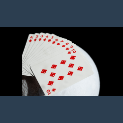 NASA Foil Meatball Logo Playing Cards