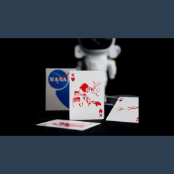NASA Foil Meatball Logo Playing Cards