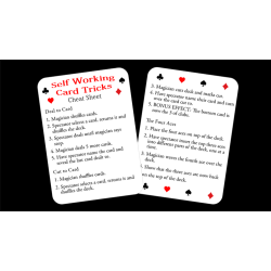 Self Starter by Paul Carnazzo