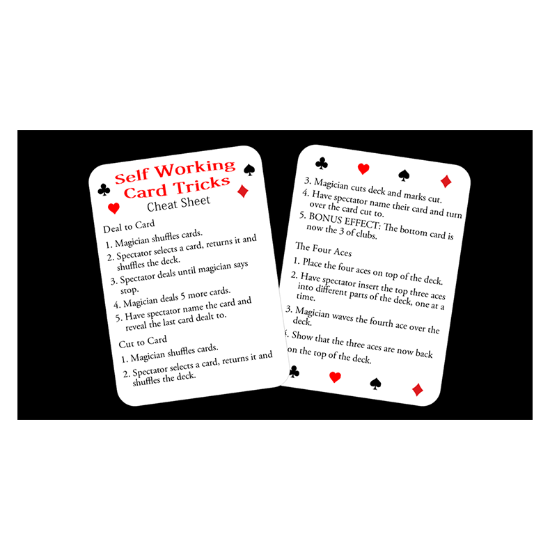 Self Starter by Paul Carnazzo