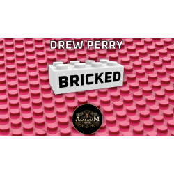 Bricked by Drew Perry