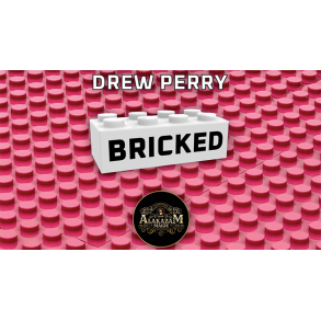 Bricked by Drew Perry