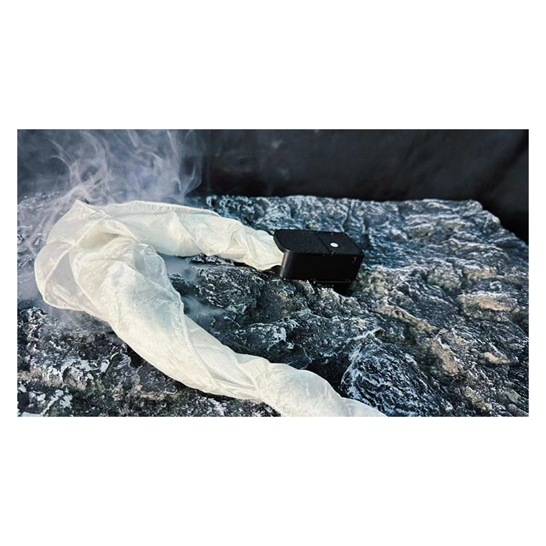 X Force by Kingsley Xu and Bond Lee