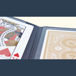 Card Holder Deluxe (2 transparent pockets + 1 hidden pocket)