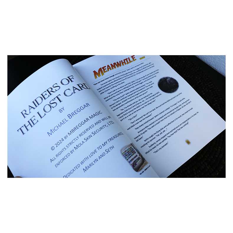 Raiders of the Lost Card by Michael Breggar