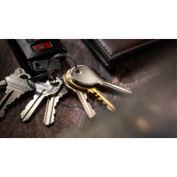 Prophekey by Paul Fowler