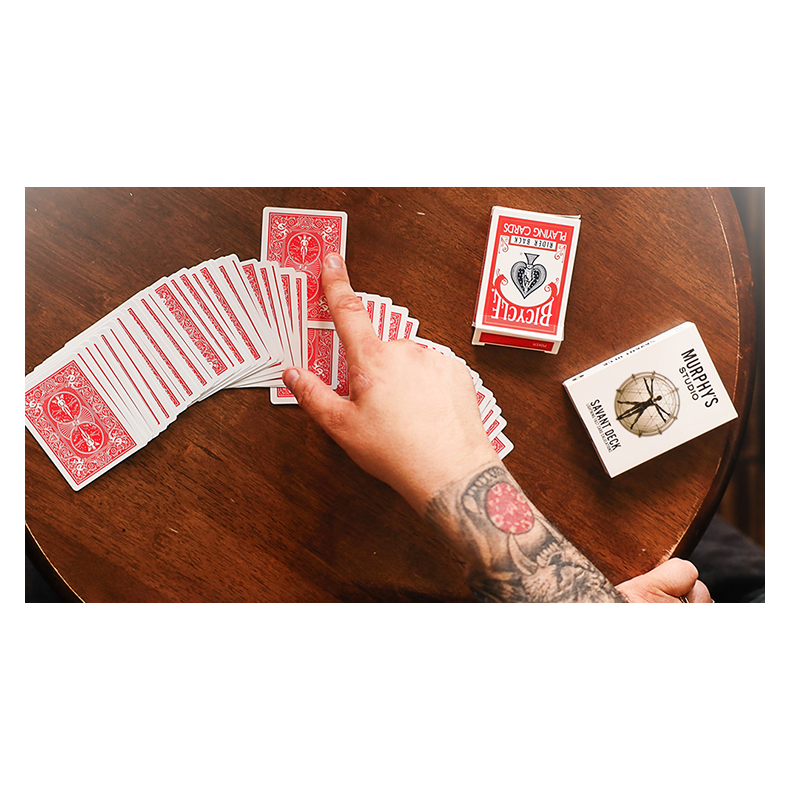 Savant by Craig Petty and Lloyd Barnes