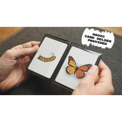 Caterfly by My Magical Project