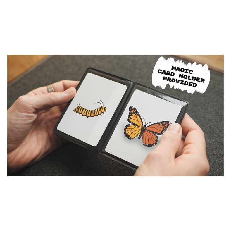 Caterfly by My Magical Project