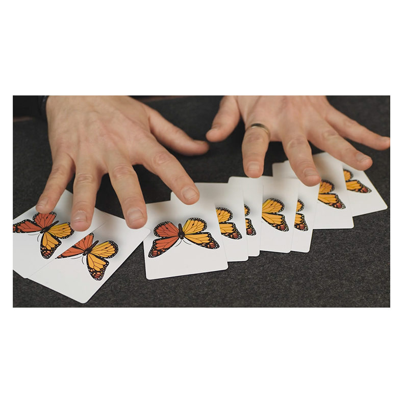 Caterfly by My Magical Project