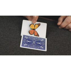 Caterfly by My Magical Project