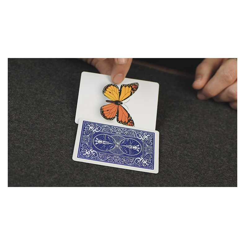 Caterfly by My Magical Project