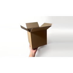 Examinable Box by Blake Vogt