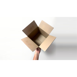 Examinable Box by Blake Vogt