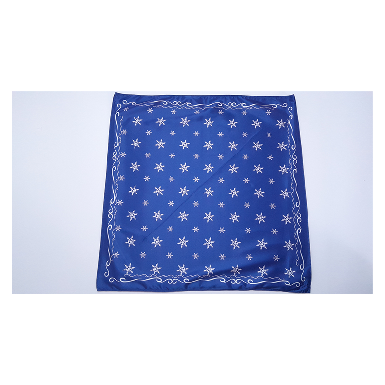 Snow Bandana by Lee Alex