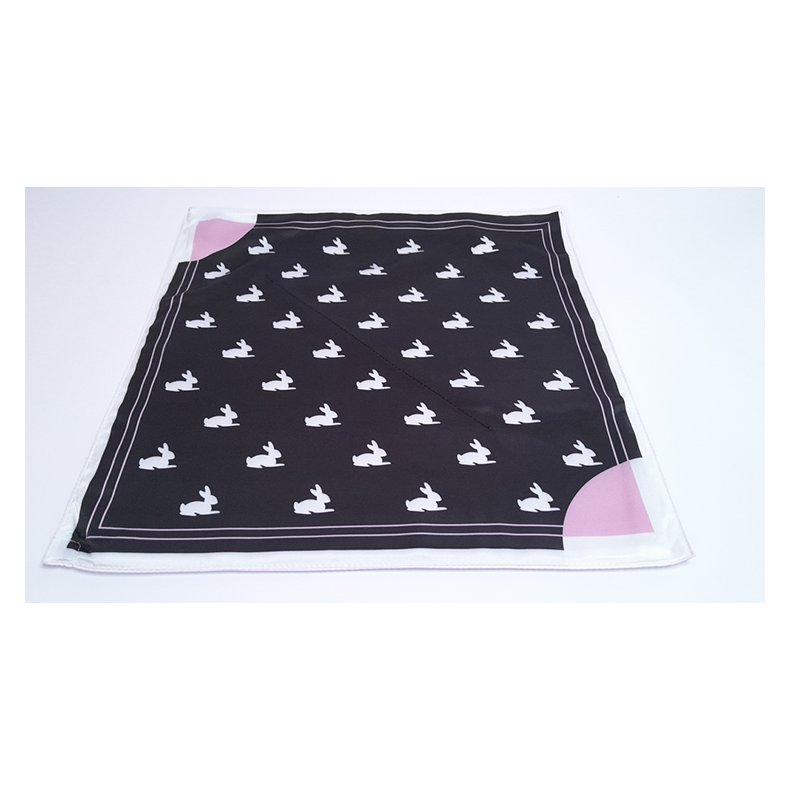 Pocket Bunny by Lee Alex