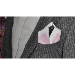 Pocket Bunny by Lee Alex