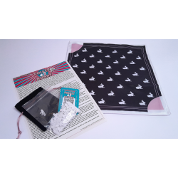 Pocket Bunny by Lee Alex