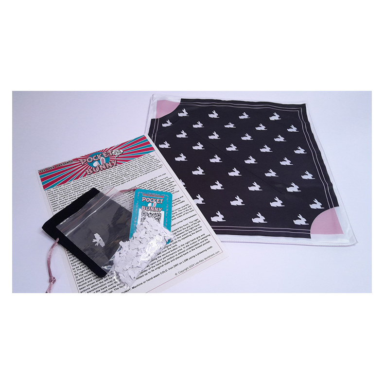 Pocket Bunny by Lee Alex