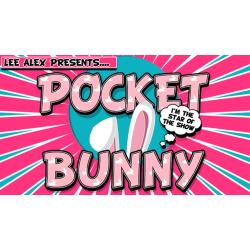 Pocket Bunny by Lee Alex