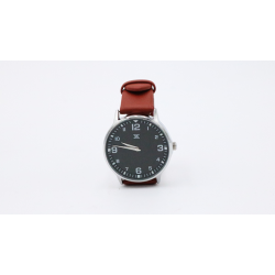 SB Watch 2 (2024) Noir Silver One