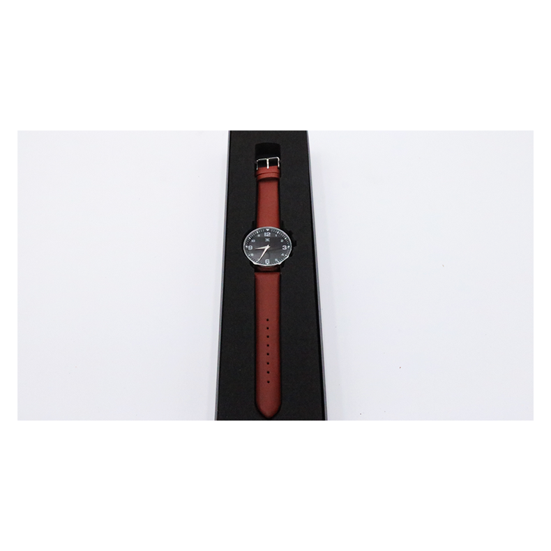 SB Watch 2 (2024) Noir Silver Three