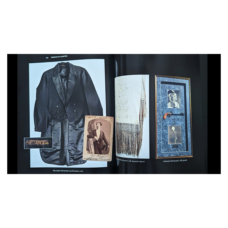 The Herrmann Chronicles by James Hamilton