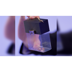 Sweet Ring by Wookie