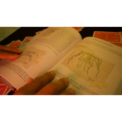 Maestro by John Shryock