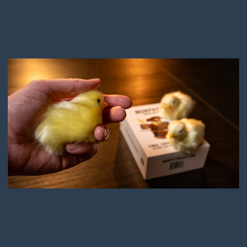 THE FINAL LOAD (Baby Chicks) by Murphy's Magic