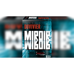 The Mirror by Dominique Duvivier