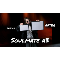 SOULMATE - Hide &amp; Sergey Koller (Large A3 size)