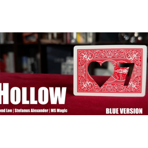 Hollow by Bond Lee, Stefanus Alexander