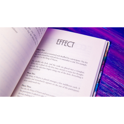 Principles of Destruction by Ben Seidman