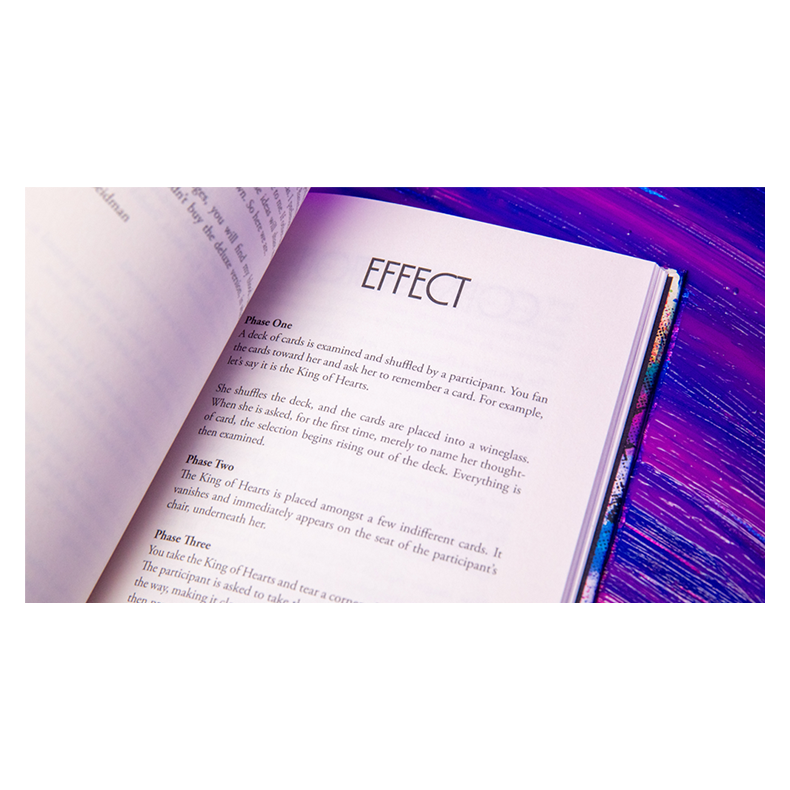 Principles of Destruction by Ben Seidman