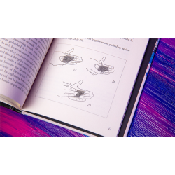 Principles of Destruction by Ben Seidman