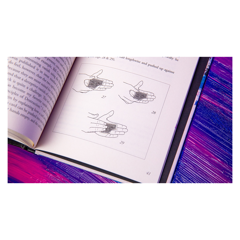 Principles of Destruction by Ben Seidman