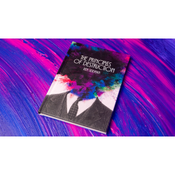 Principles of Destruction by Ben Seidman